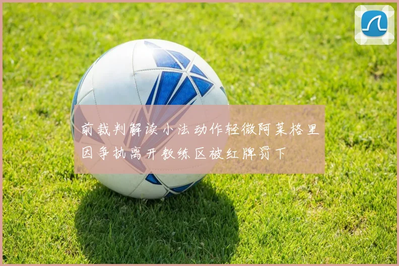 前裁判解读小法动作轻微阿莱格里因争执离开教练区被红牌罚下