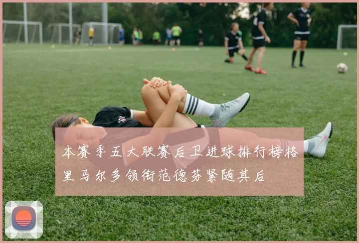 本赛季五大联赛后卫进球排行榜格里马尔多领衔范德芬紧随其后