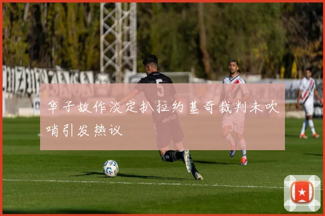 华子故作淡定扒拉约基奇裁判未吹哨引发热议
